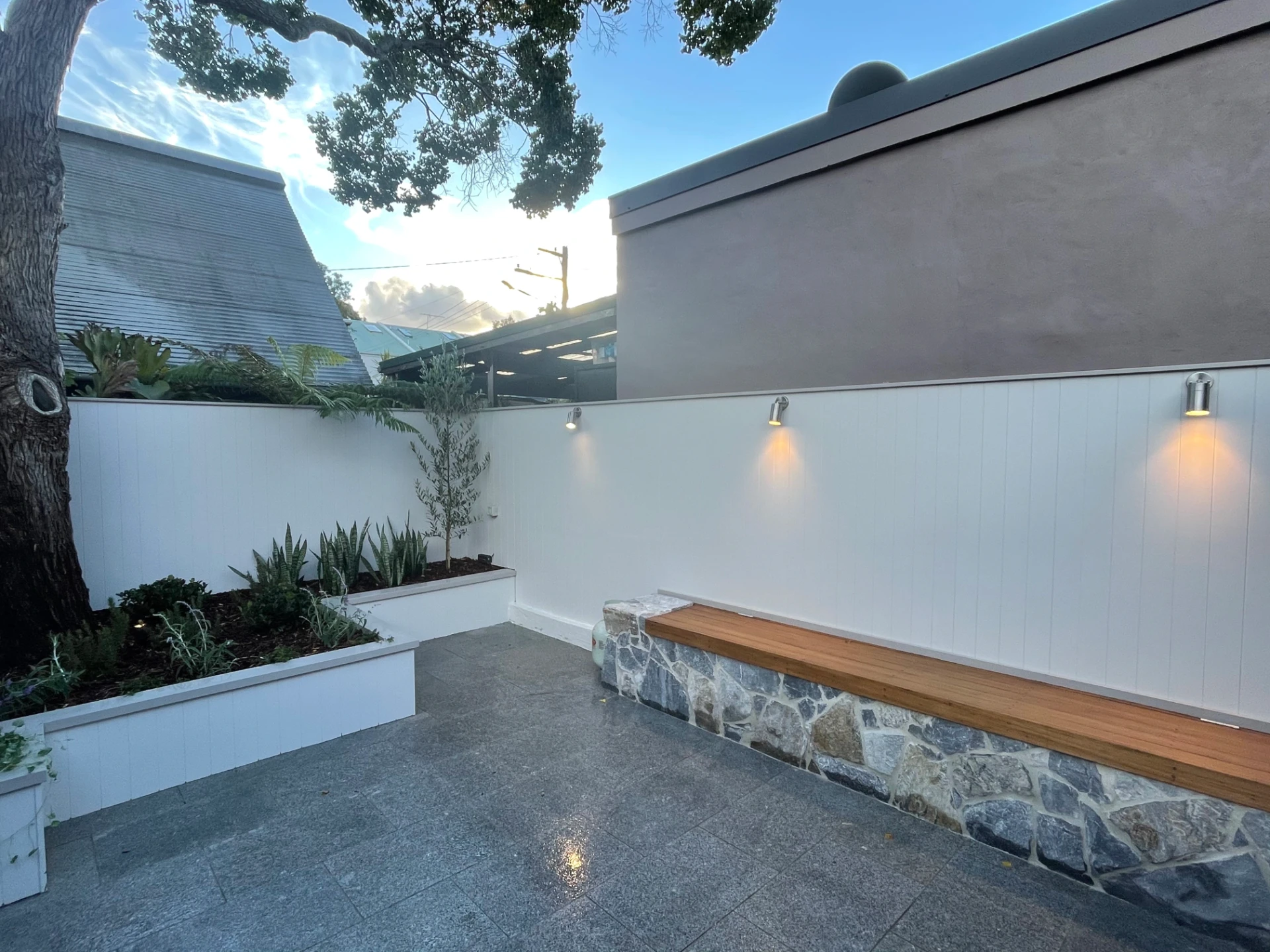 Northern Beaches Coastal Garden