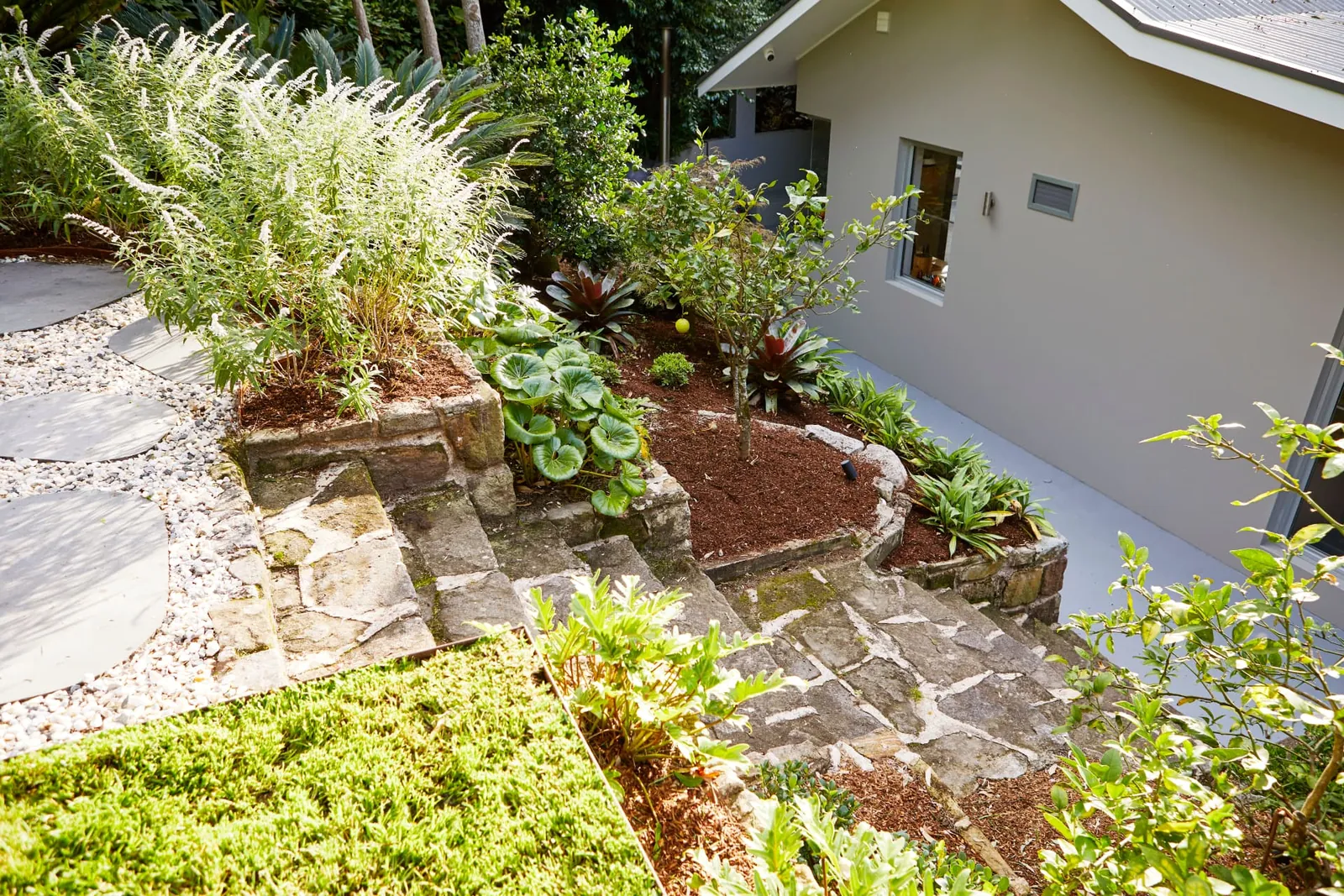 Round stepping stones through a leafy garden path