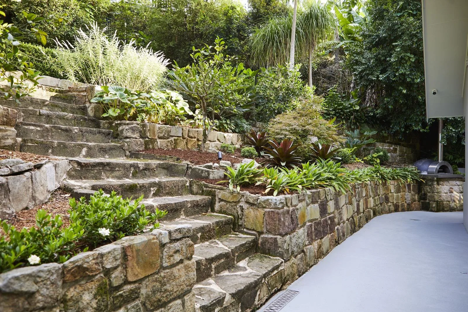Sandstone steps and retaining walls climbing a sloping Pymble garden