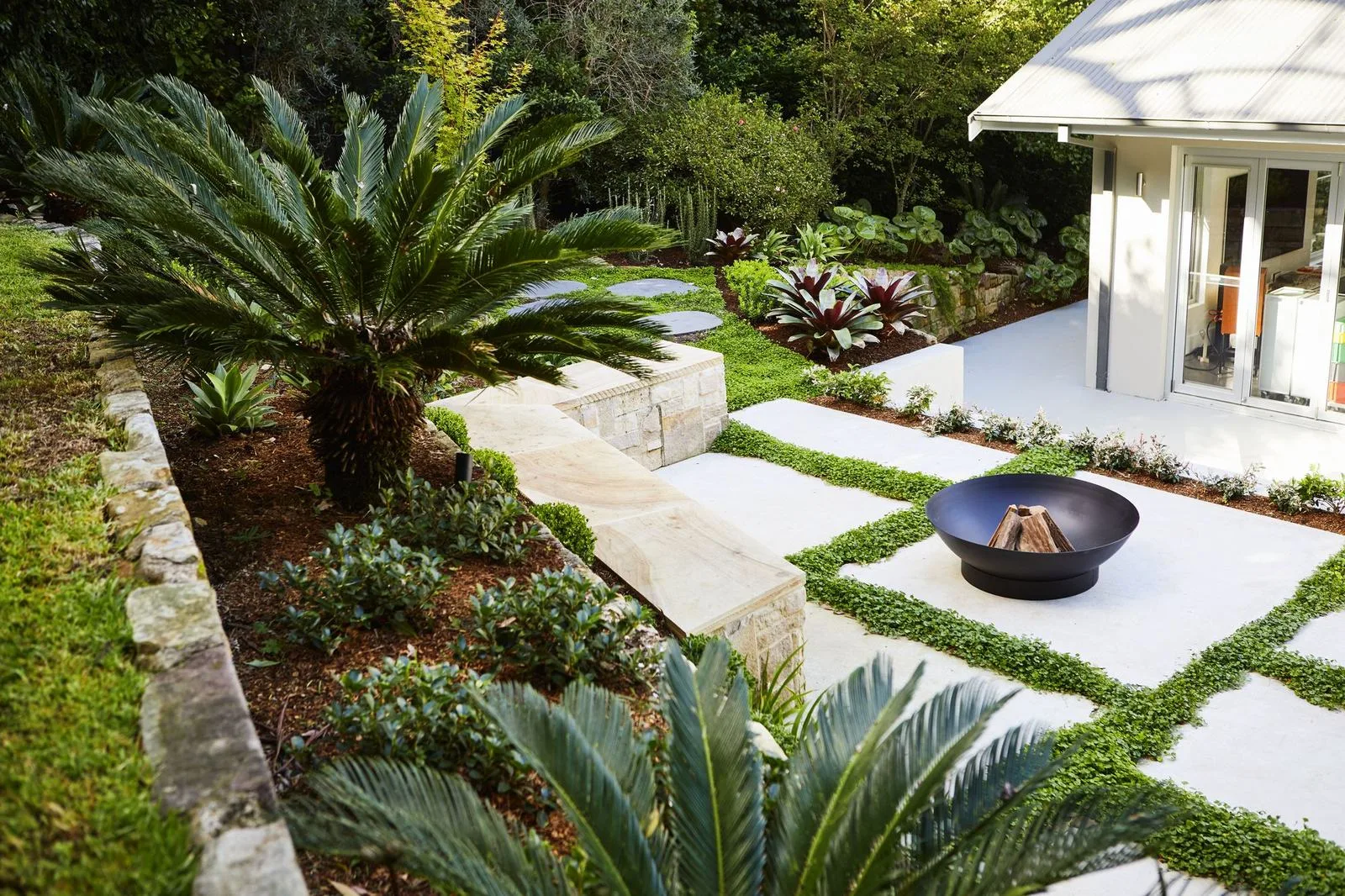 Cycads beside the fire pit terrace in a Pymble garden