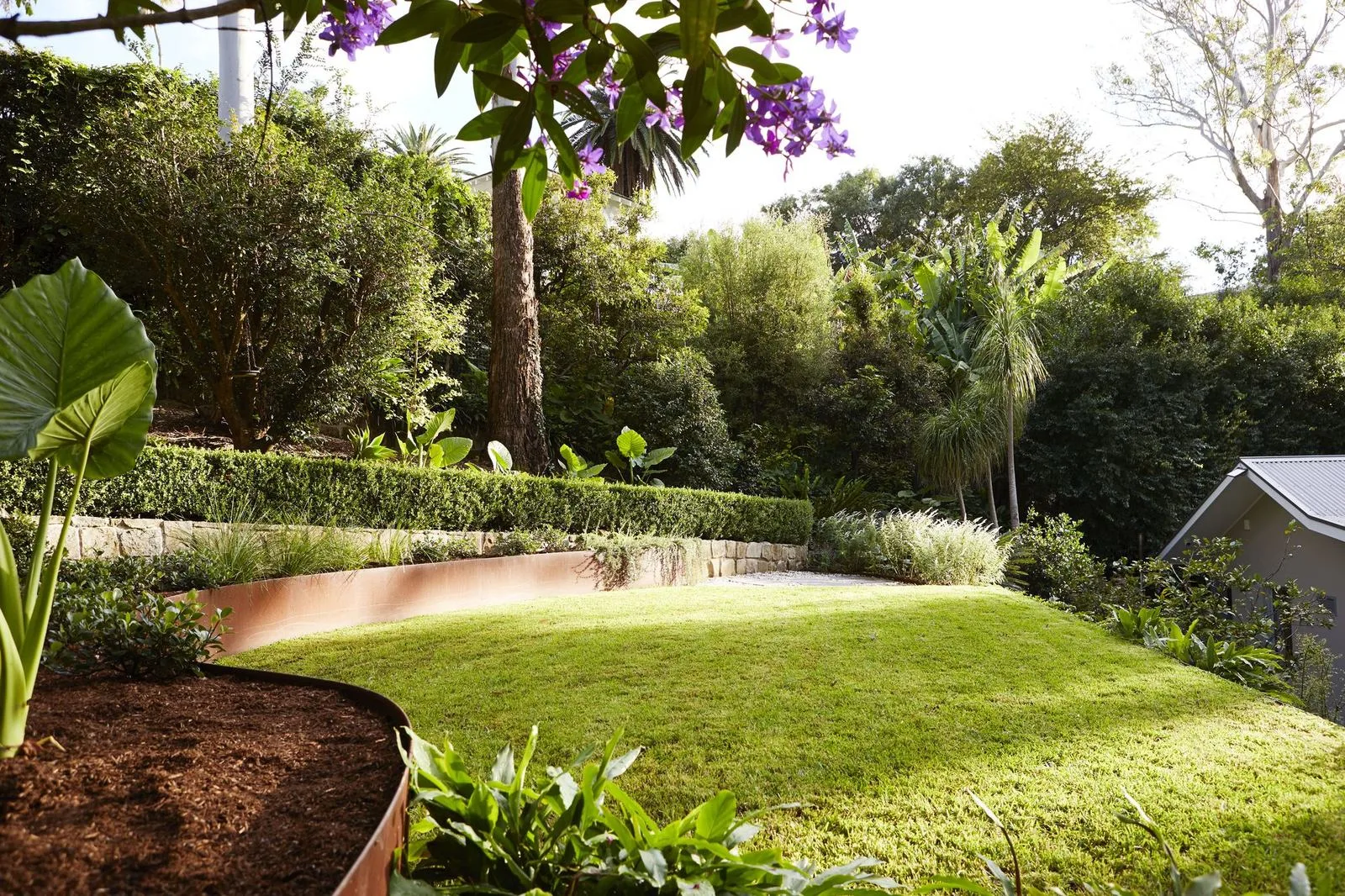 Curved lawn with corten steel edging and layered planting
