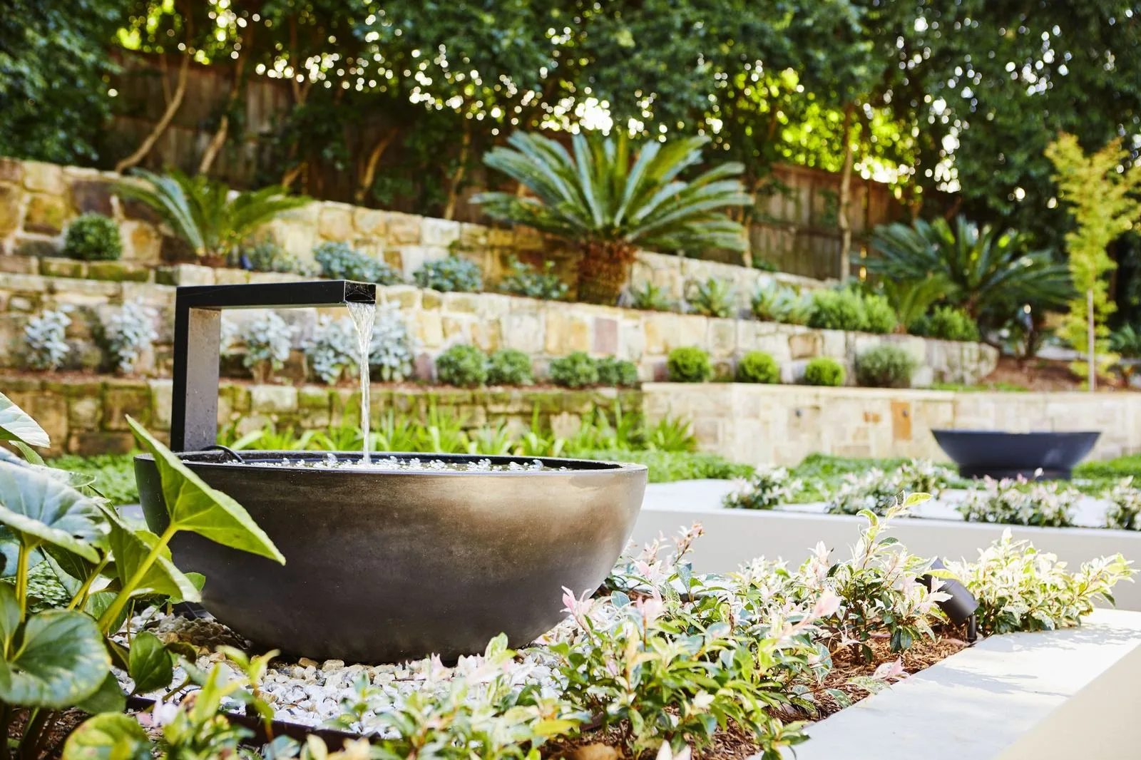 Water bowl feature surrounded by planting in a terraced Pymble garden